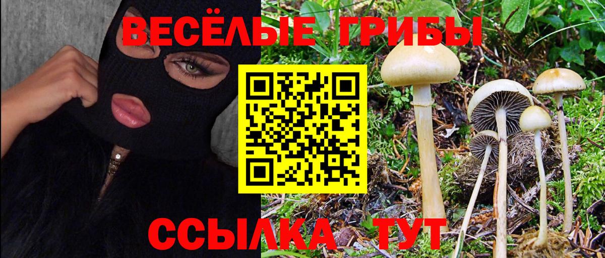 Галлюциногенные грибы мухоморы  Вход с VPN  Королёв 